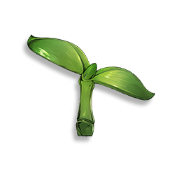 Jeune pousse verte