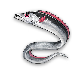Argentilé variant