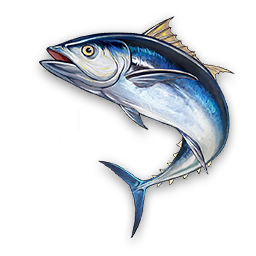 Chasse-marée