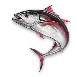 Chasse-marée variant