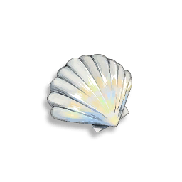 Coquillage