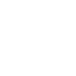 Ranged Weapons