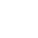 Pistol